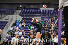 Paradise-Blue-Ridge-03