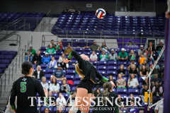 Paradise-Blue-Ridge-11