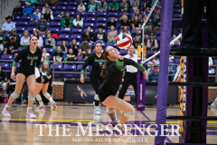 Paradise-Blue-Ridge-16