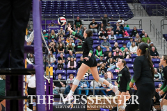 Paradise-Blue-Ridge-19