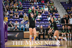 Paradise-Blue-Ridge-23