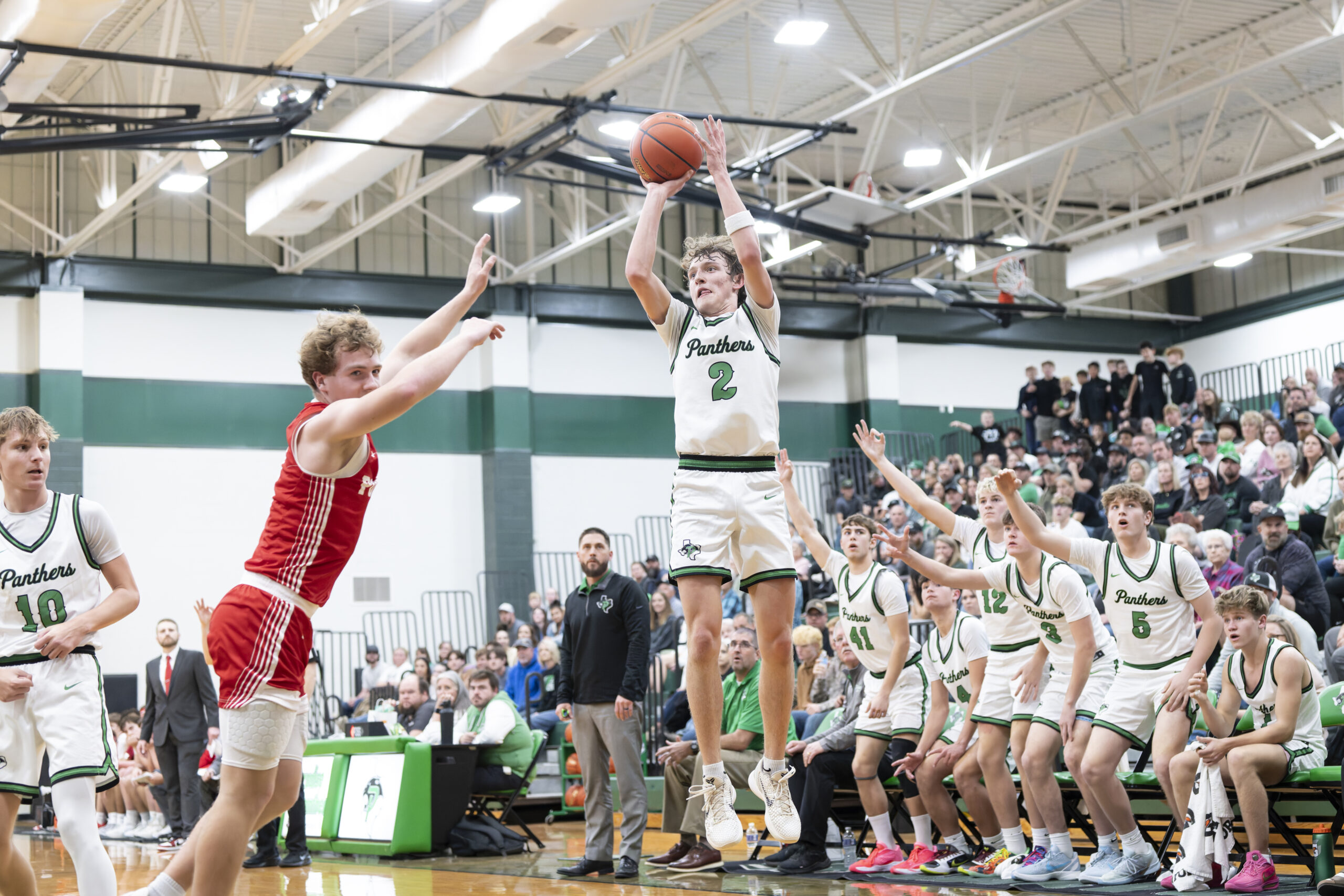 Panthers down Lions with hot night behind arc