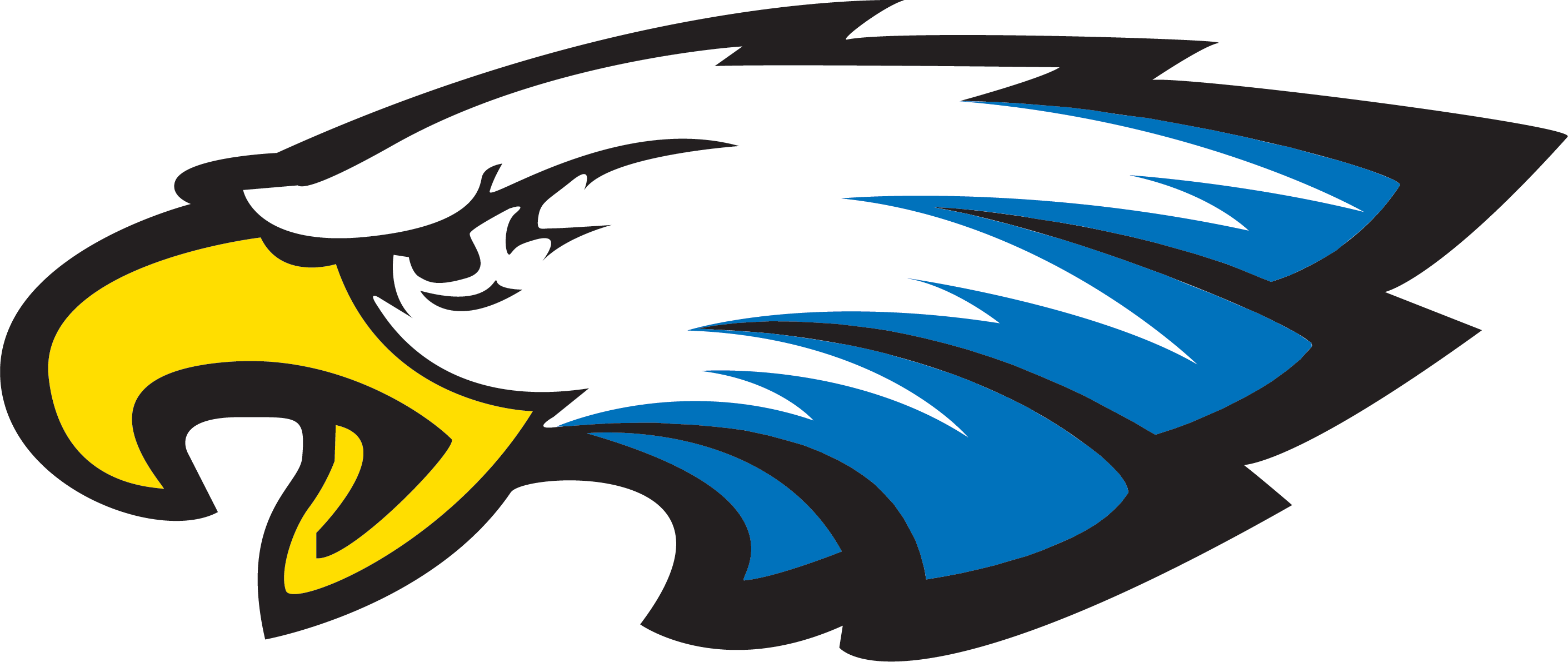 Decatur squads start league play with wins - Wise County Messenger